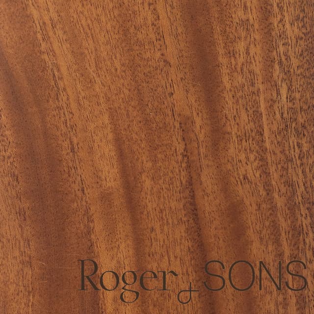 Roger and Sons Hexagonal Honeycomb Reclaimed Wood Coaster Set — View 5