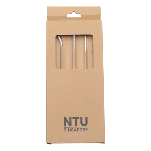 Reusable Borosilicate Glass Straw Set with Nylon Cleaning Brush — View 5